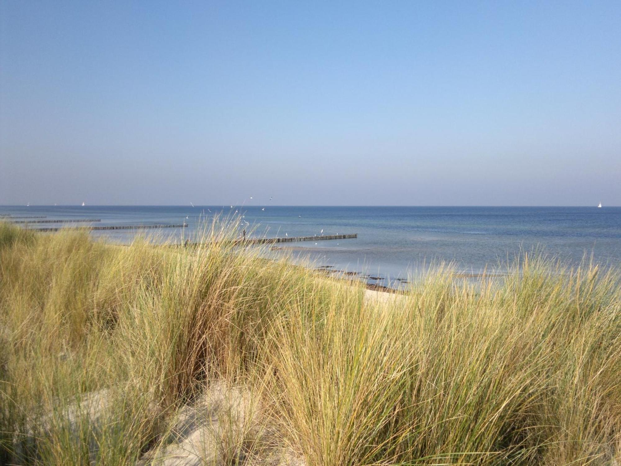 Comfortable Apartment Near Insel Poel Groß Strömkendorf المظهر الخارجي الصورة