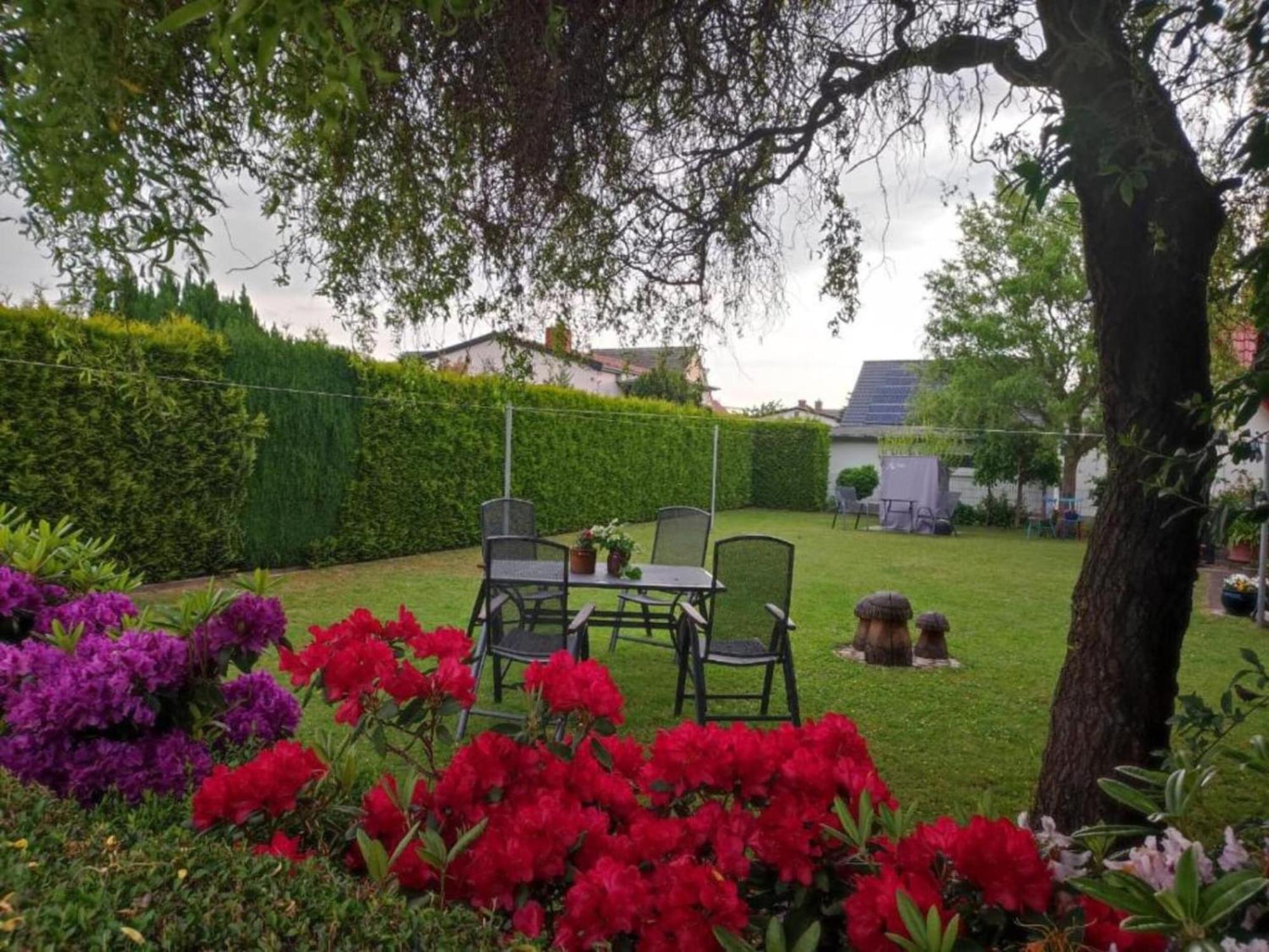 Comfortable Apartment Near Insel Poel Groß Strömkendorf المظهر الخارجي الصورة