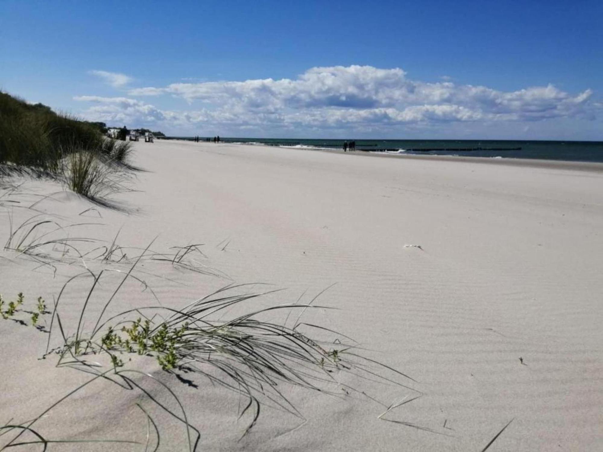 Comfortable Apartment Near Insel Poel Groß Strömkendorf المظهر الخارجي الصورة